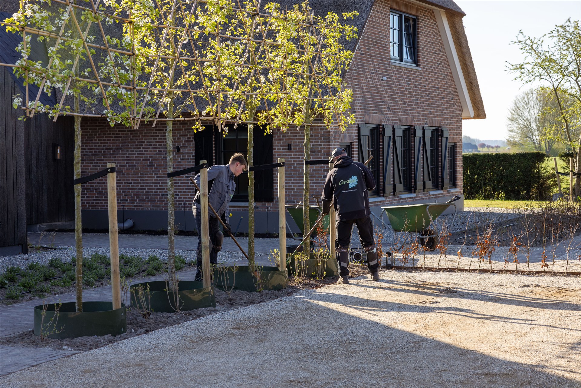 Twee hoveniers van Curatio aan het werk bij leibomen in een particuliere tuin in Zwolle