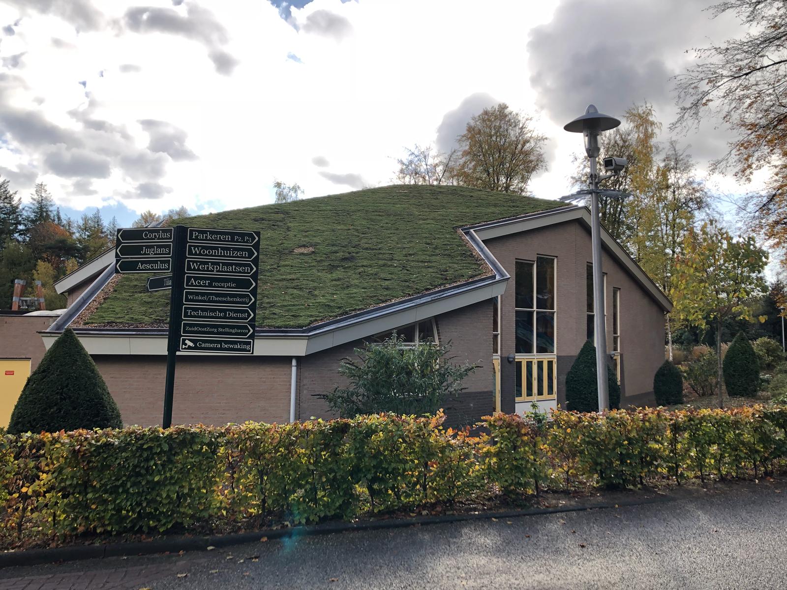 Volgroeid sedumdak op een groot gebouw gerealiseerd door Curatio