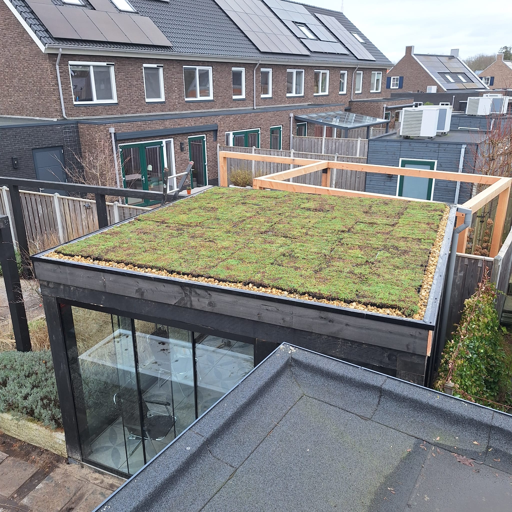 Sedumdak op een houten overkapping gerealiseerd door Curatio