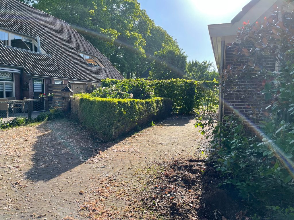 Bestaande voortuin vóór de renovatie in Dalen