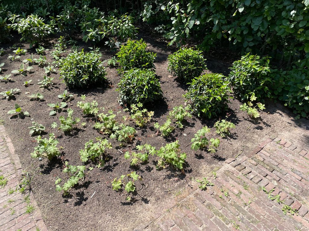 Nieuwe beplanting van Greensales in de voortuin