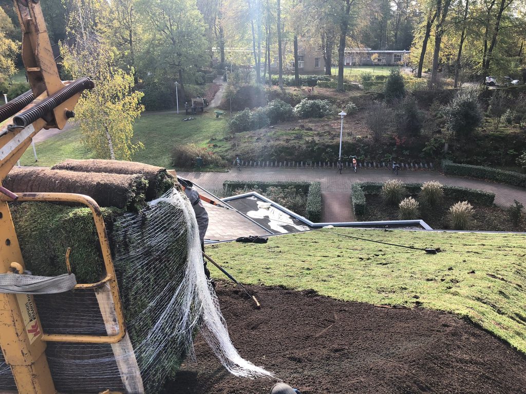 Plaatsen van sedummatten op het hellende dak