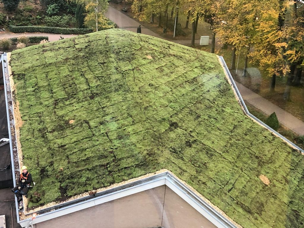 Overzicht van het nieuwe sedumdak in Appelscha