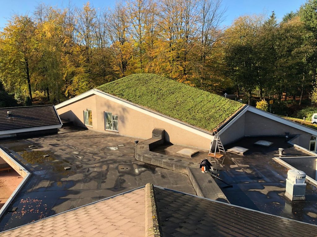 Eindresultaat van het sedumdak op het gemeenschapsgebouw
