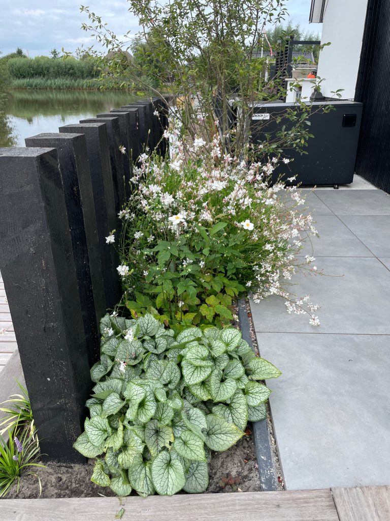 Beplanting langs de waterkant van de wellnesstuin