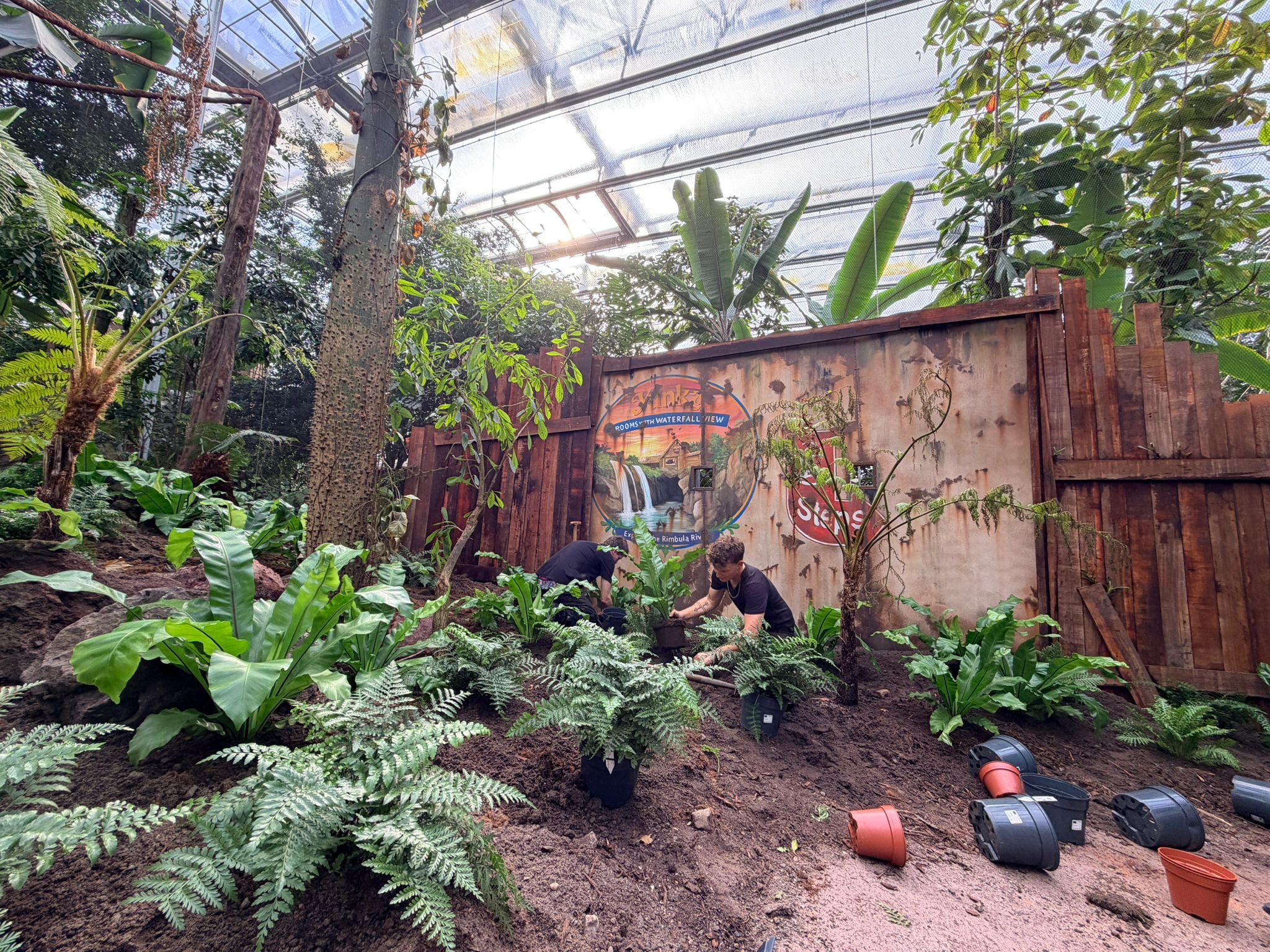 Medewerkers brengen varens en tropische planten aan in Yunka van Wildlands