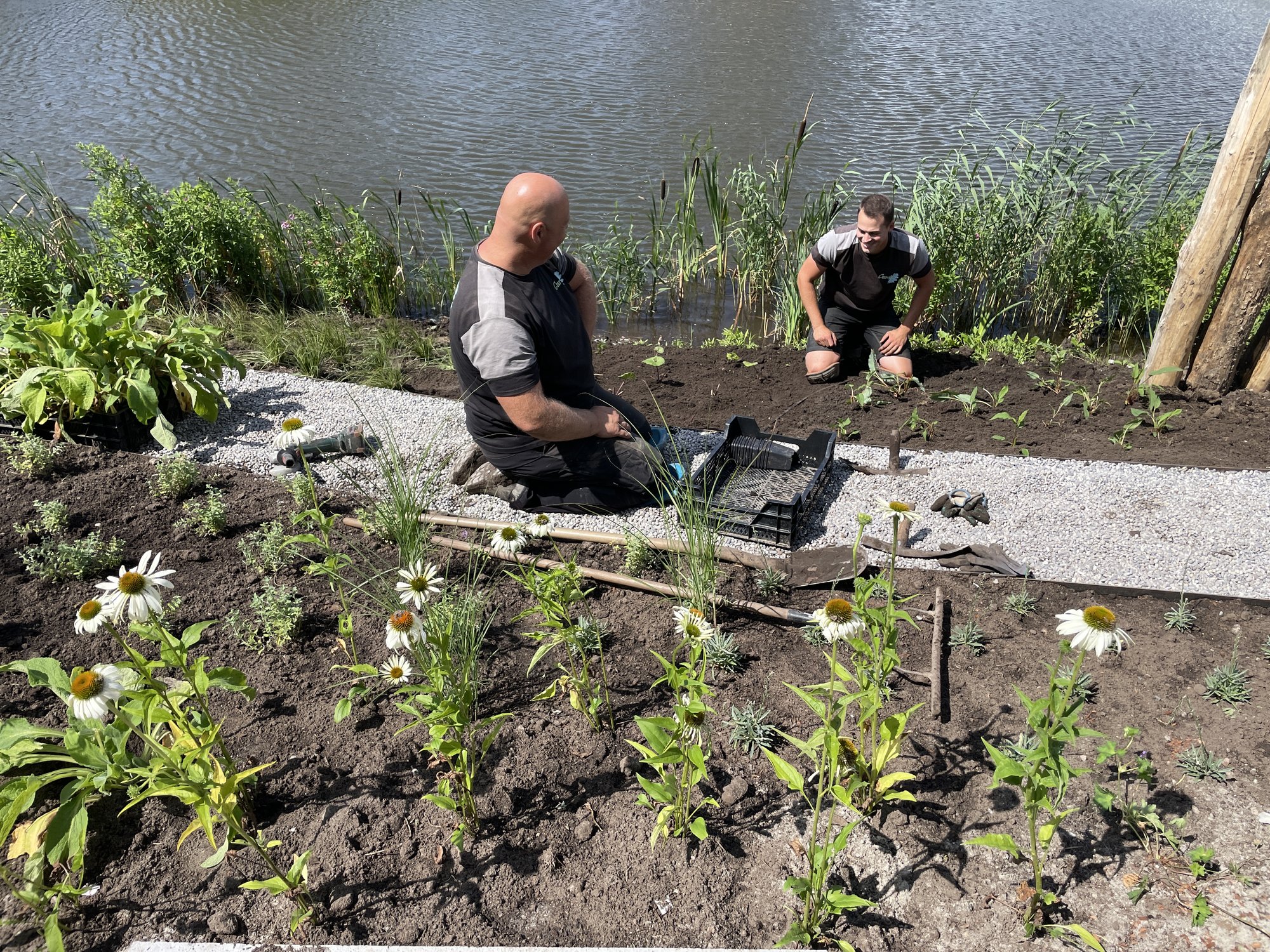 Aanplanting van de borders aan het water