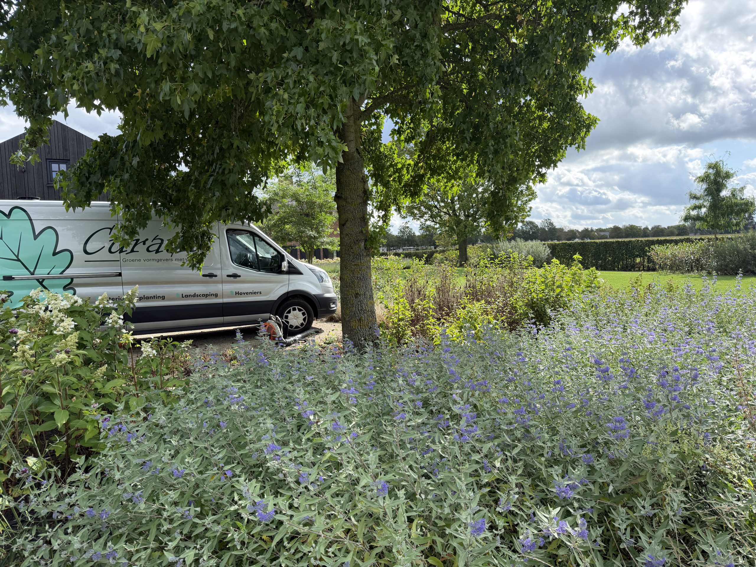 Curatio-bedrijfswagen bij een bloeiende border in een particuliere tuin