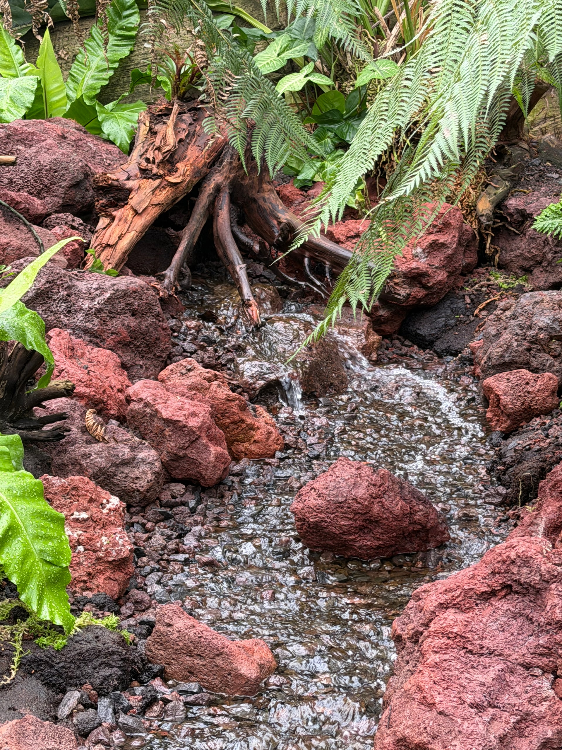 Stromende waterloop tussen lavabrokken en varens in Yunka