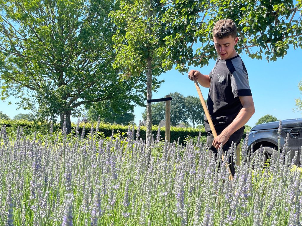 Curatio verzorgt de beplanting van de villatuin in Zwolle
