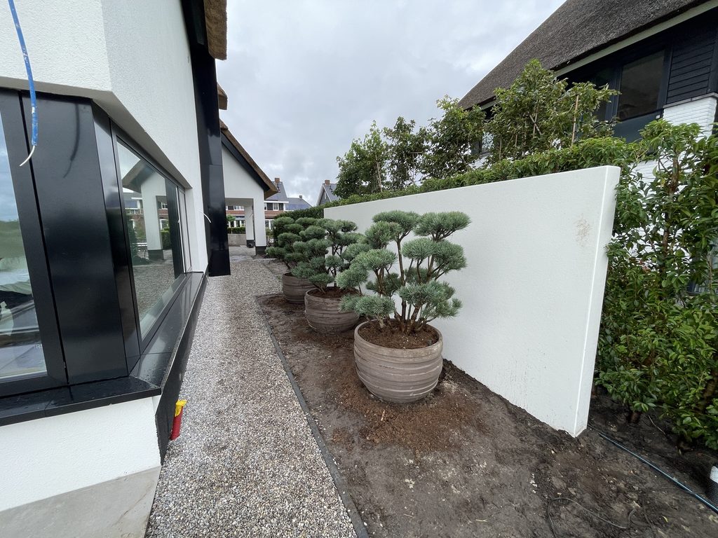 Witte Luxcom keerwand naast vormbomen in een moderne tuin