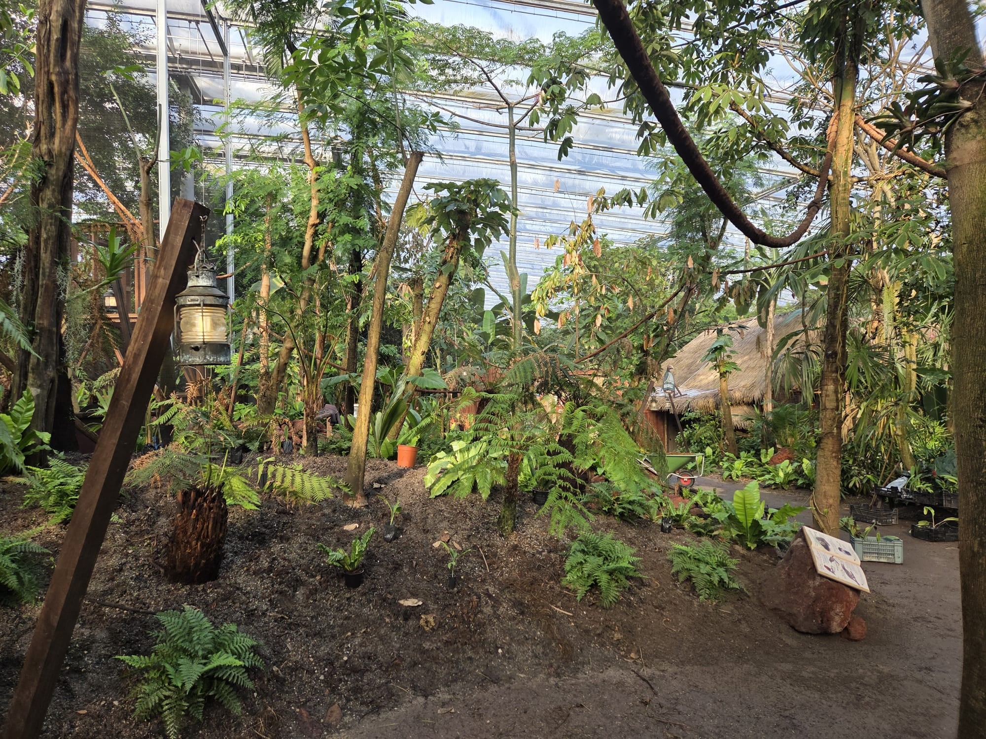 Tropische interieurbeplanting in het nieuwe dierenverblijf Yunka in Rimbula van Wildlands