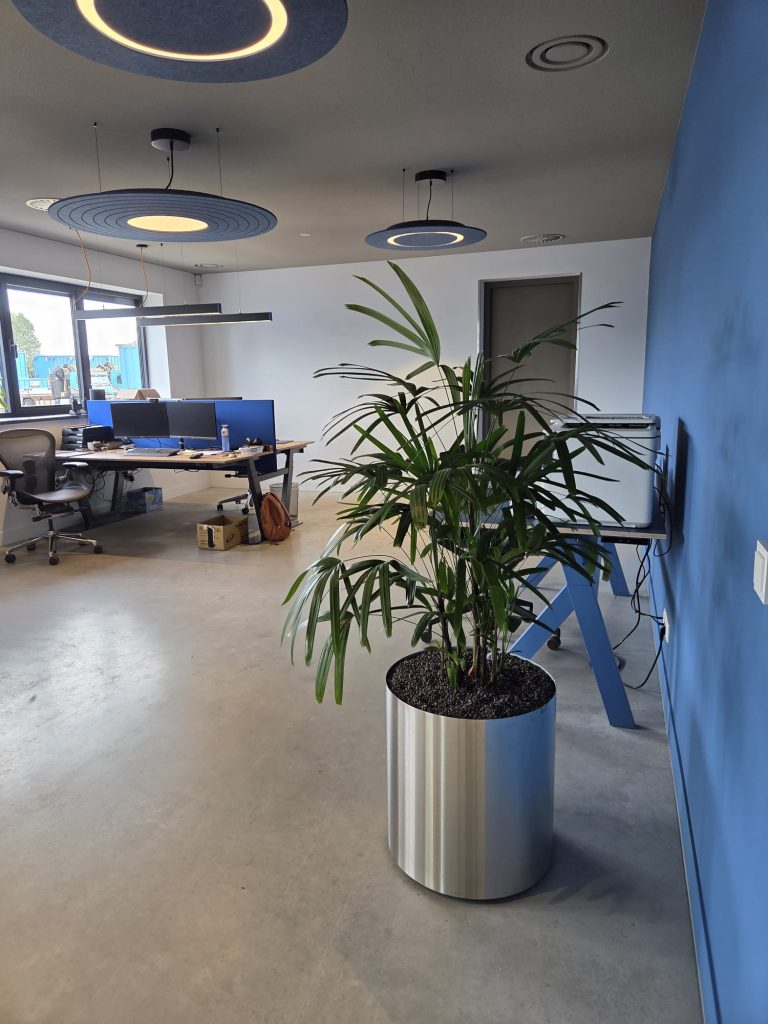 Hydrocultuurplant in een verrijdbare plantenbak op de werkvloer