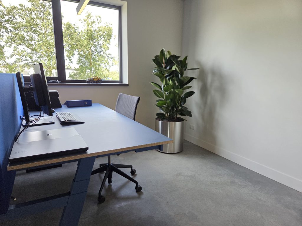 Interieurbeplanting met groene kantoorplant bij Wolbers Watermanagement