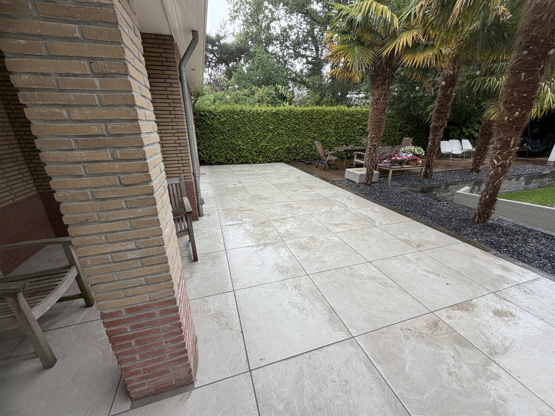 Eindresultaat van de terrasrenovatie in Ommen met palmen en beplanting